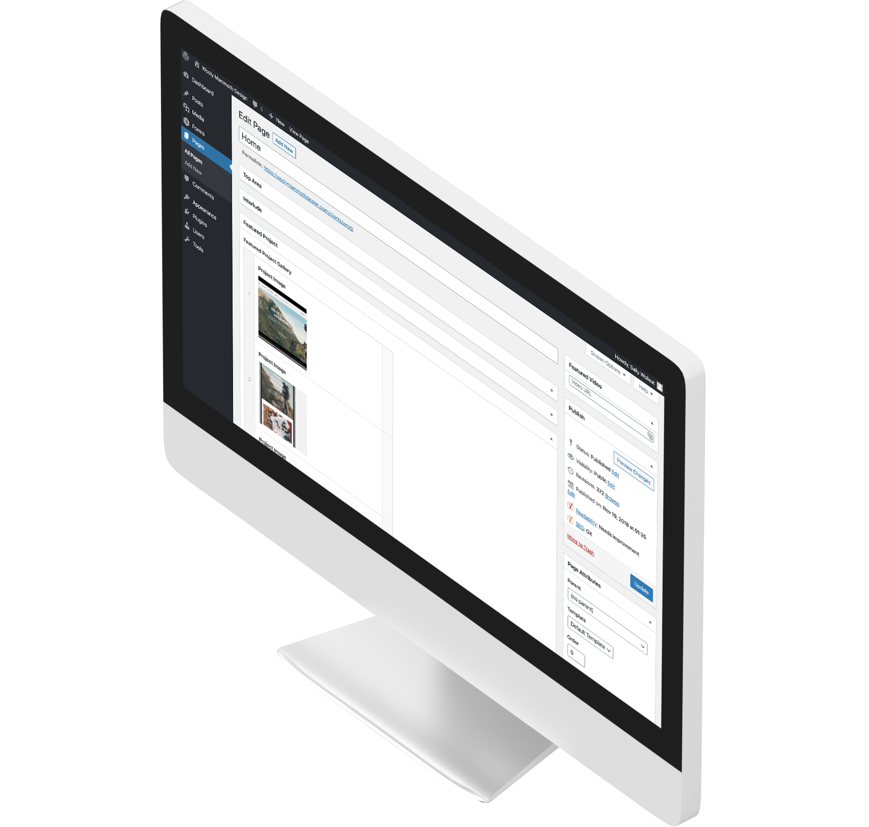 Computer screen with WordPress admin screen