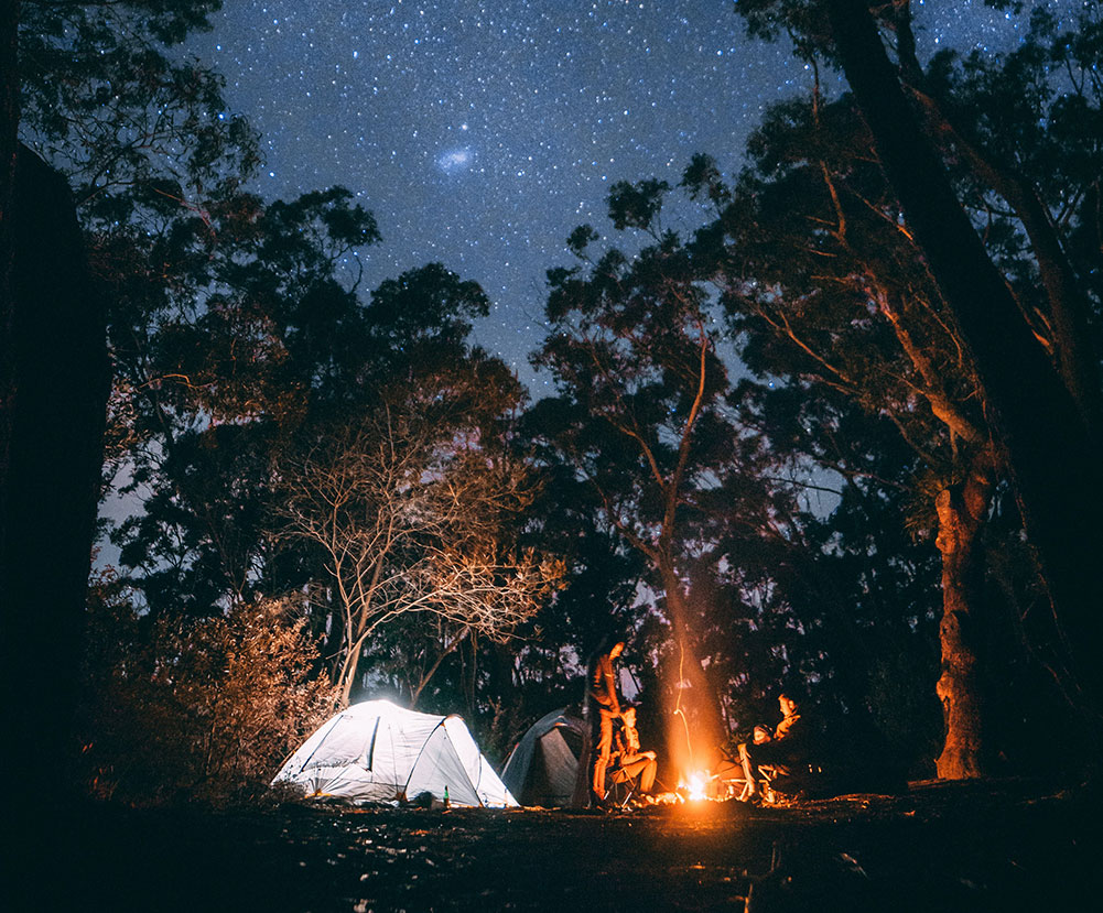 Campers around campfire at night under starry sky
